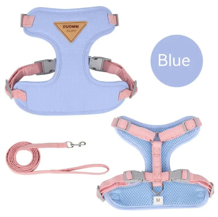 Small Dog Anti - Breaking Harness & Leash - Catch Cards