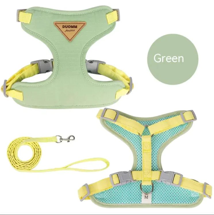 Small Dog Anti - Breaking Harness & Leash - Catch Cards