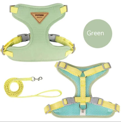 Small Dog Anti - Breaking Harness & Leash - Catch Cards