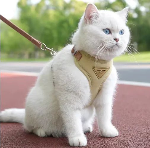 Small Dog Anti - Breaking Harness & Leash - Catch Cards