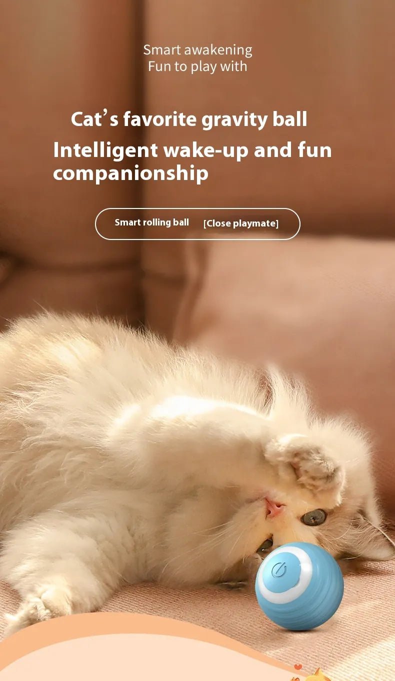 Smart Electronic Interactive Dog Toy Ball - Catch Cards