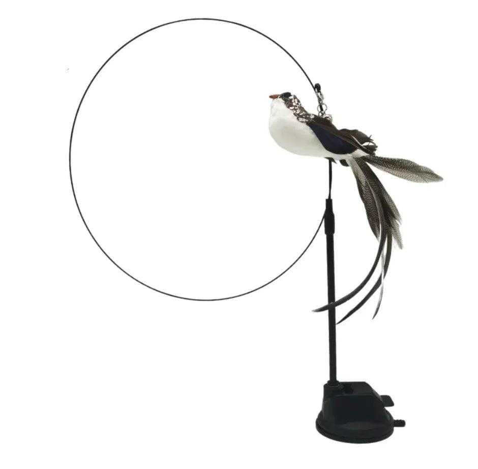 Steel Wire Feather Cat Teaser Wand - Catch Cards