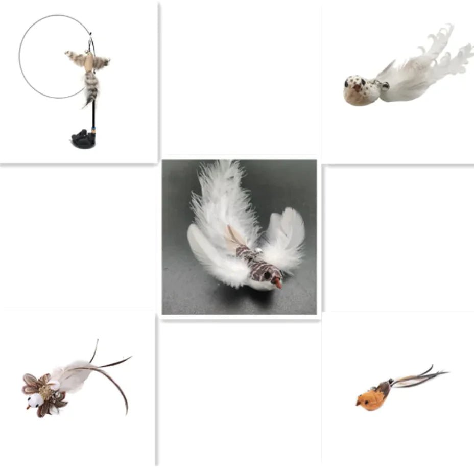 Steel Wire Feather Cat Teaser Wand - Catch Cards