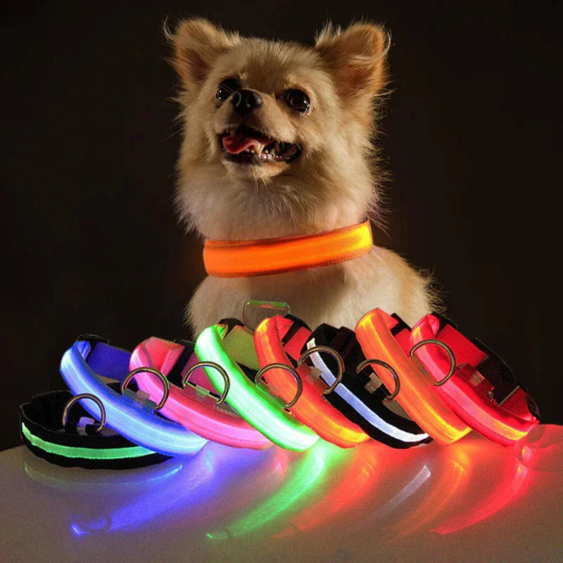 LED Adjustable Dog Collar Blinking Flashing Light Up Glow Pets Safety Waterproof WEM Support (www.WEM.support)