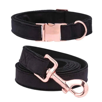 Unique Style Christmas Black Collar and Leash Set for Pets - Catch Cards
