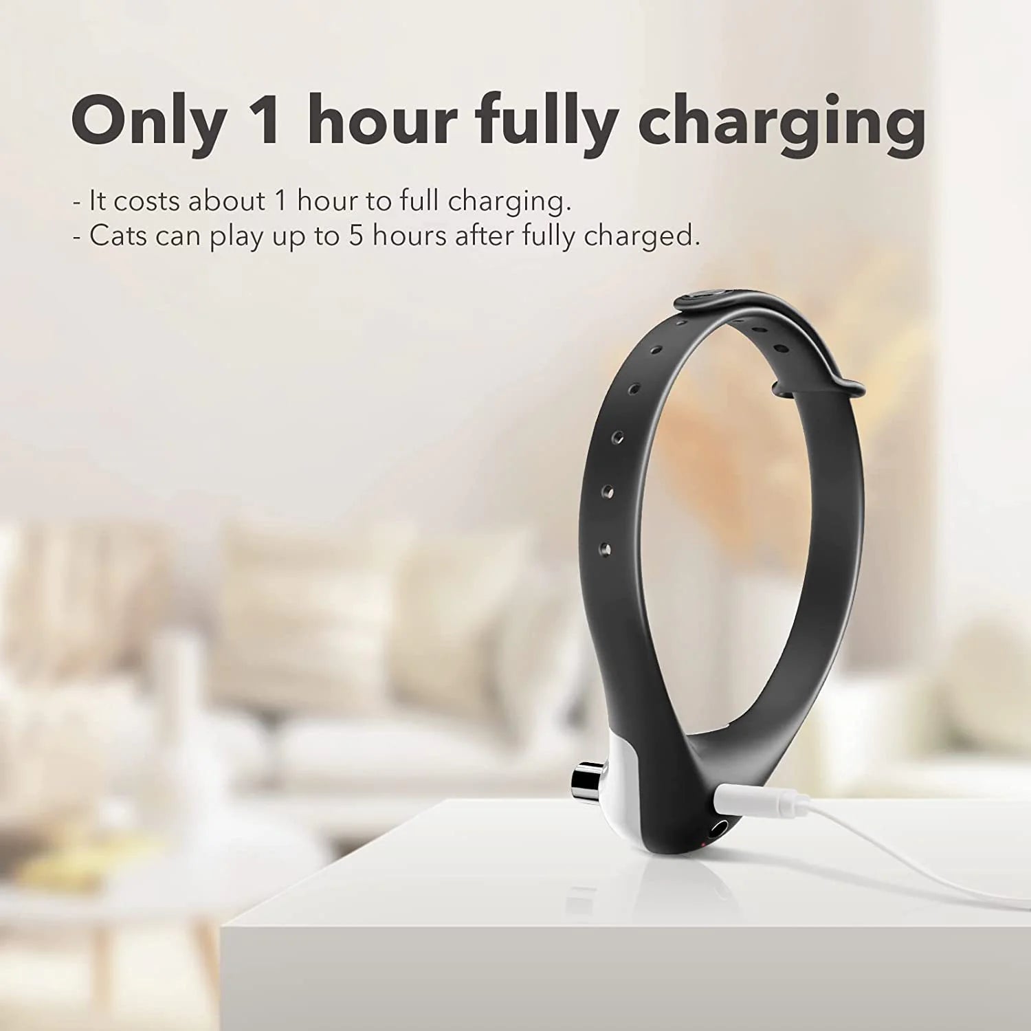 Laser Collar Toy for Cats HejK.com Marketplace LLC