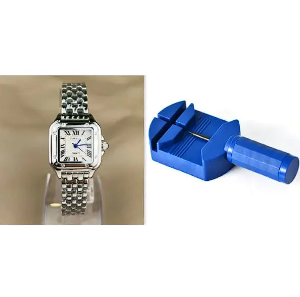 Steel Strip Roman Scale Watch WEM Support (www.WEM.support)