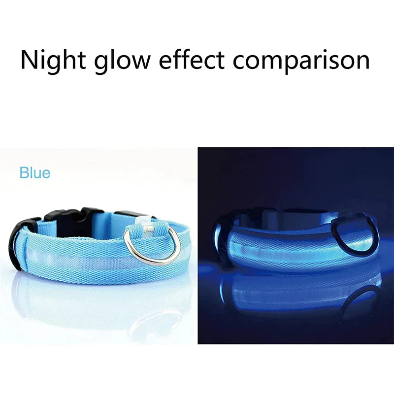 LED Adjustable Dog Collar Blinking Flashing Light Up Glow Pets Safety Waterproof WEM Support (www.WEM.support)