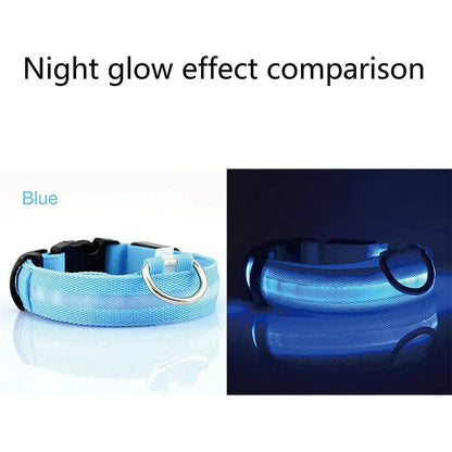 LED Adjustable Dog Collar Blinking Flashing Light Up Glow Pets Safety Waterproof WEM Support (www.WEM.support)