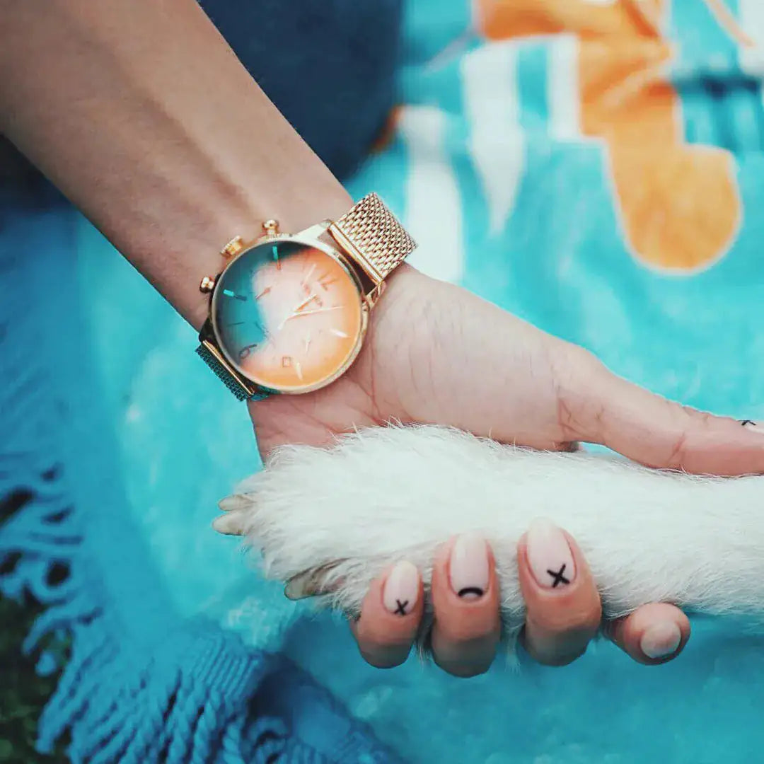 Welder Moody Watch WWRC604 Women's Watch WEM Support (www.WEM.support)