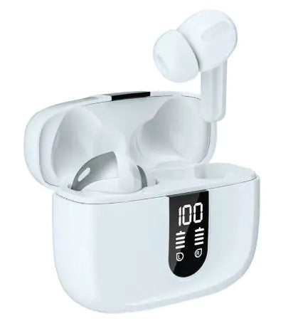 Bluetooth  Wireless Earphones WEM Support (www.WEM.support)