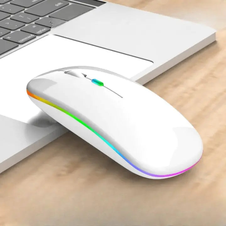 Rechargeable Cordless Mouse WEM Support (www.WEM.support)