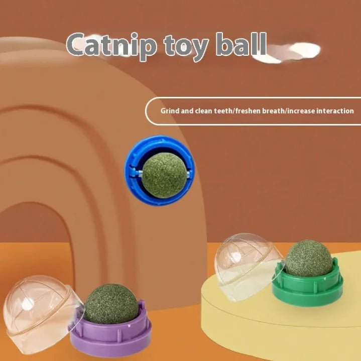 Catnip Ball Cat Toy WEM Support (www.WEM.support)