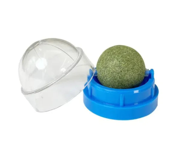 Catnip Ball Cat Toy WEM Support (www.WEM.support)