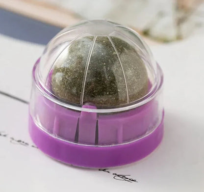 Catnip Ball Cat Toy WEM Support (www.WEM.support)