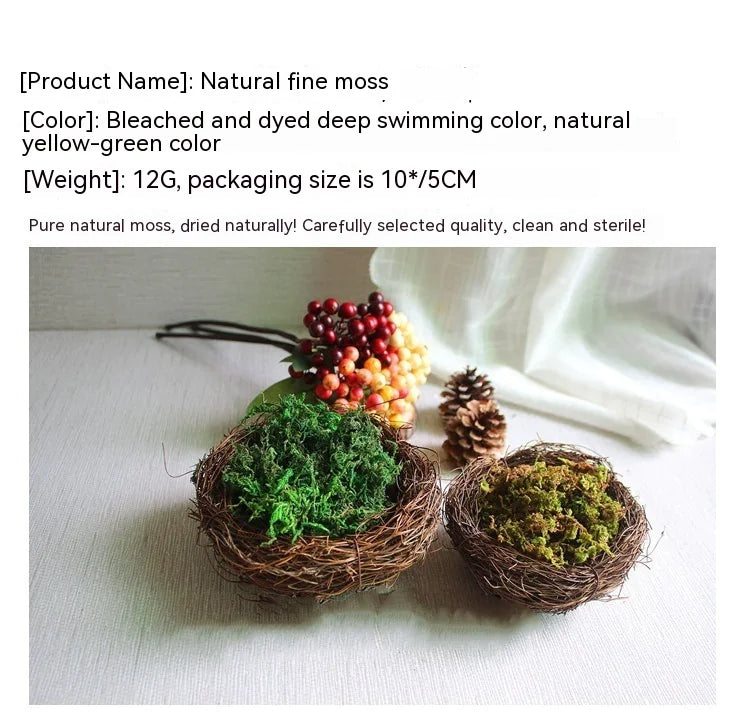 Simulated Moss Landscape Decor WEM Support (www.WEM.support)