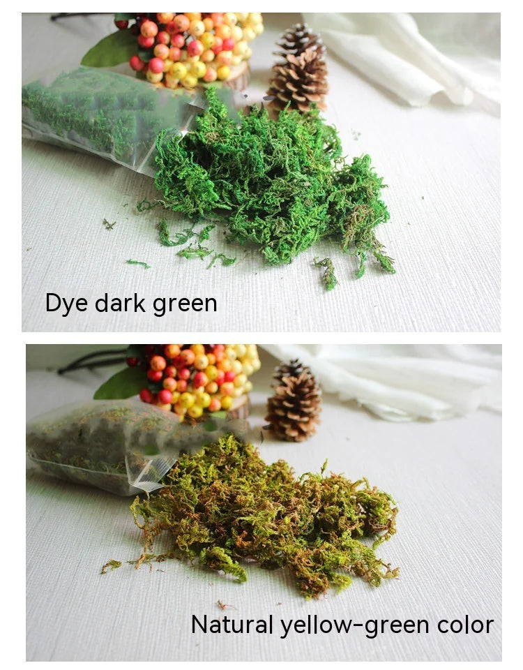 Simulated Moss Landscape Decor WEM Support (www.WEM.support)