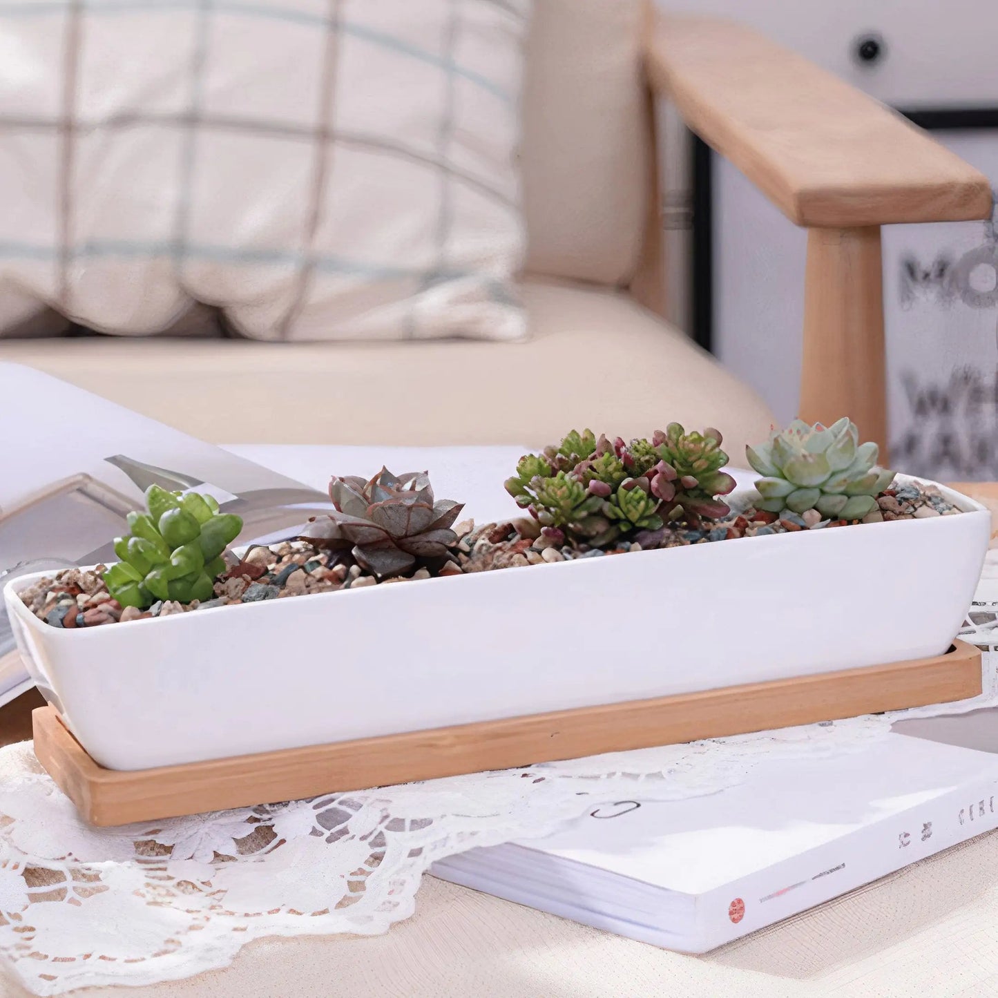 Long Succulent Planter US addition to your indoor garden WEM Support (www.WEM.support)