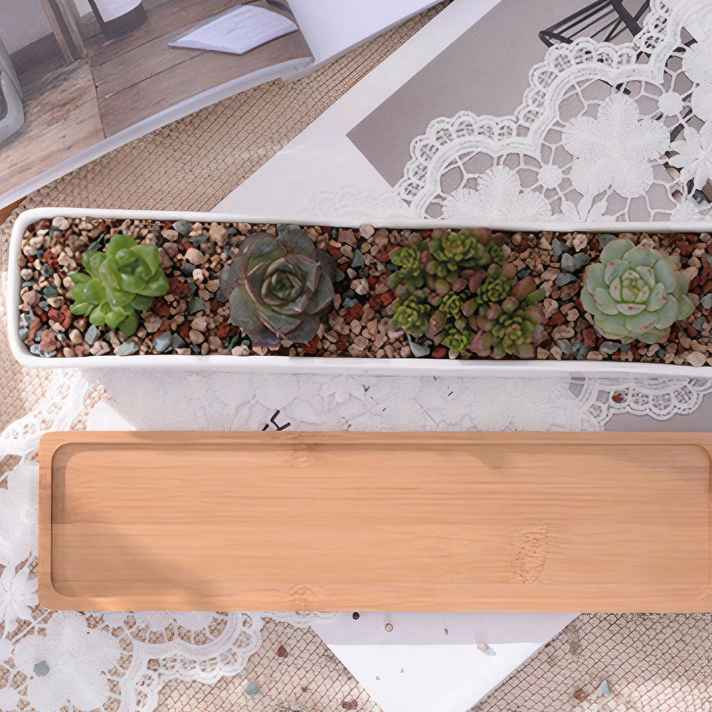 Long Succulent Planter US addition to your indoor garden WEM Support (www.WEM.support)