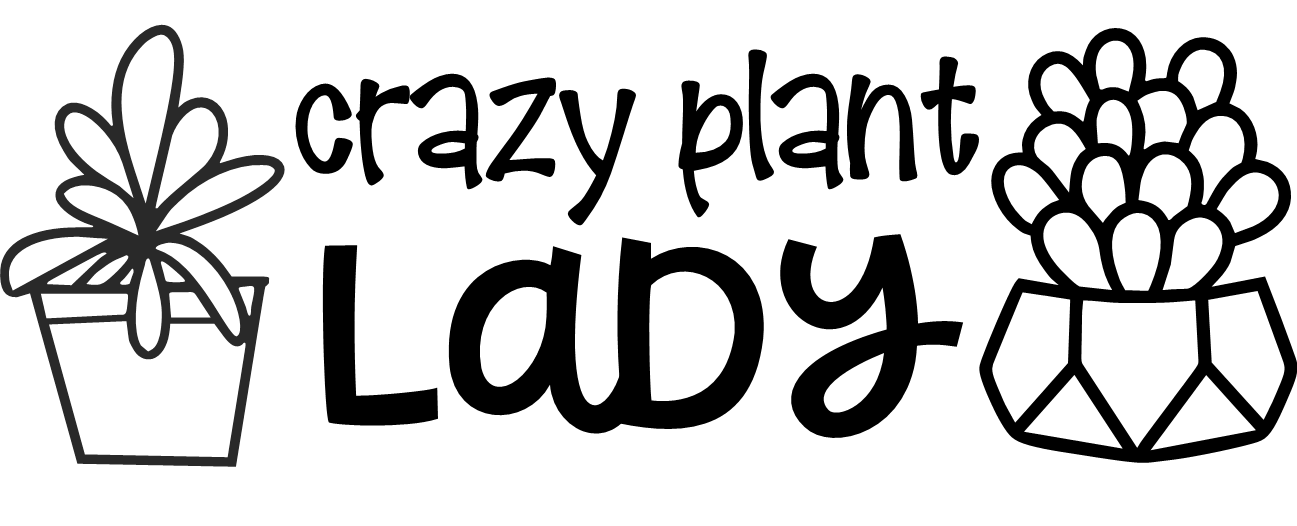 Message in a Planter - Oval 7" Emotional Support Plant WEM Support (www.WEM.support)