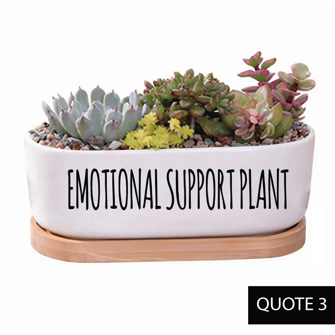Message in a Planter - Oval 7" Emotional Support Plant WEM Support (www.WEM.support)