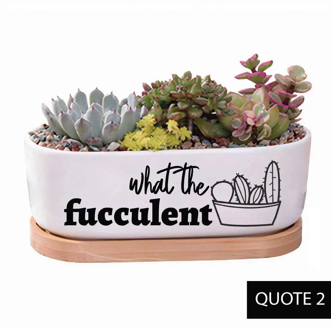 Message in a Planter - Oval 7" Emotional Support Plant WEM Support (www.WEM.support)