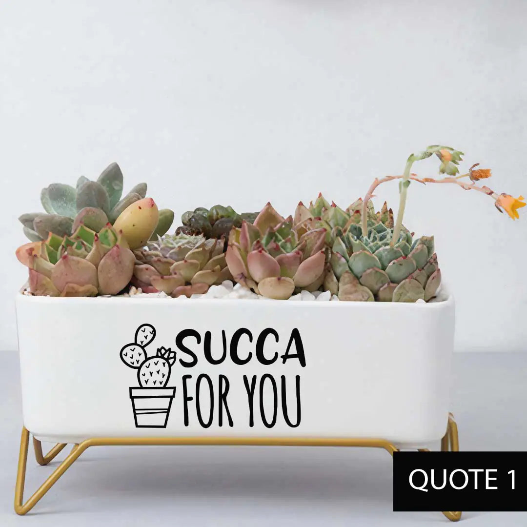 Message in a Planter - Supported 7" WEM Support (www.WEM.support)