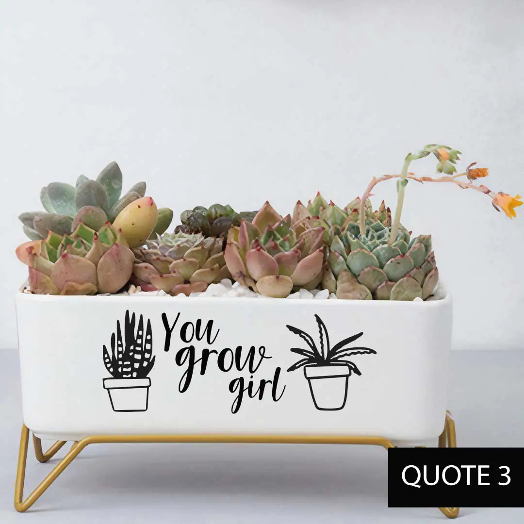 Message in a Planter - Supported 7" WEM Support (www.WEM.support)