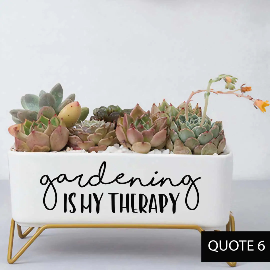 Message in a Planter - Supported 7" WEM Support (www.WEM.support)