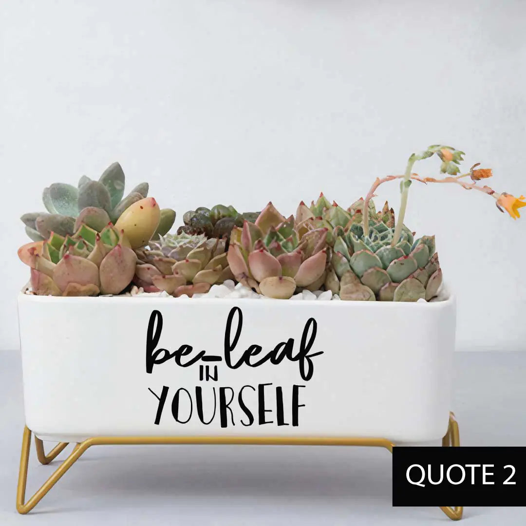 Message in a Planter - Supported 7" WEM Support (www.WEM.support)