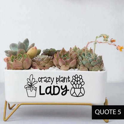 Message in a Planter - Supported 7" WEM Support (www.WEM.support)