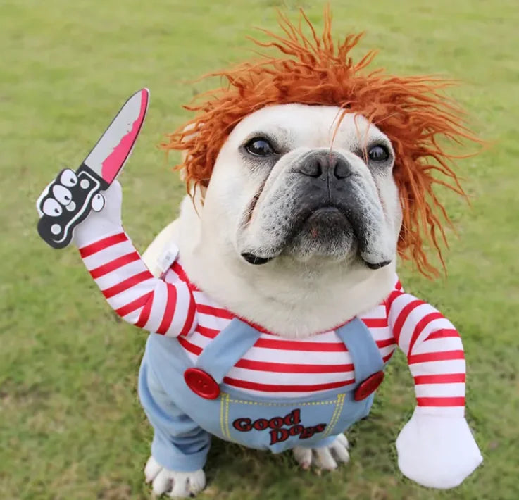 Halloween Pet Costume WEM Support (www.WEM.support)