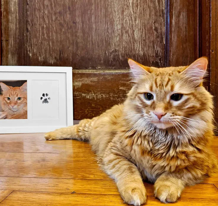 Memory Print Photo Album WEM Support (www.WEM.support)