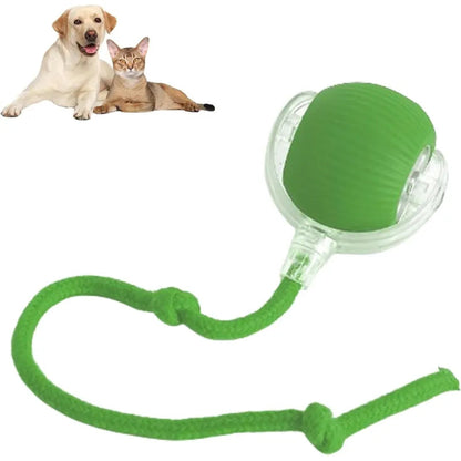 360 Smart Automatic Rolling Pet Ball WEM Support (www.WEM.support)