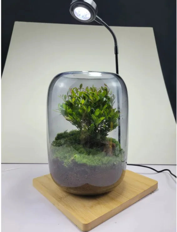 Green Scape Miniature Décor WEM Support (www.WEM.support)