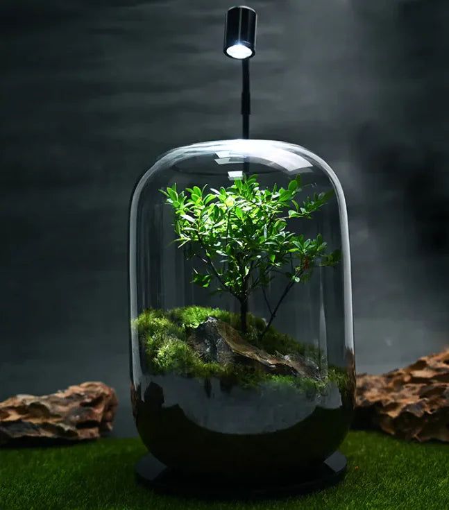 Green Scape Miniature Décor WEM Support (www.WEM.support)