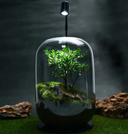 Green Scape Miniature Décor WEM Support (www.WEM.support)