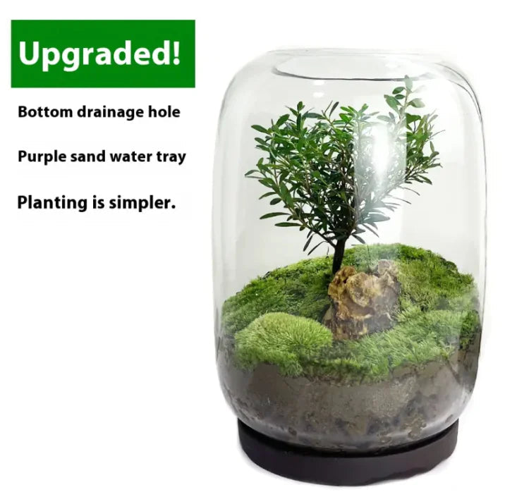 Green Scape Miniature Décor WEM Support (www.WEM.support)