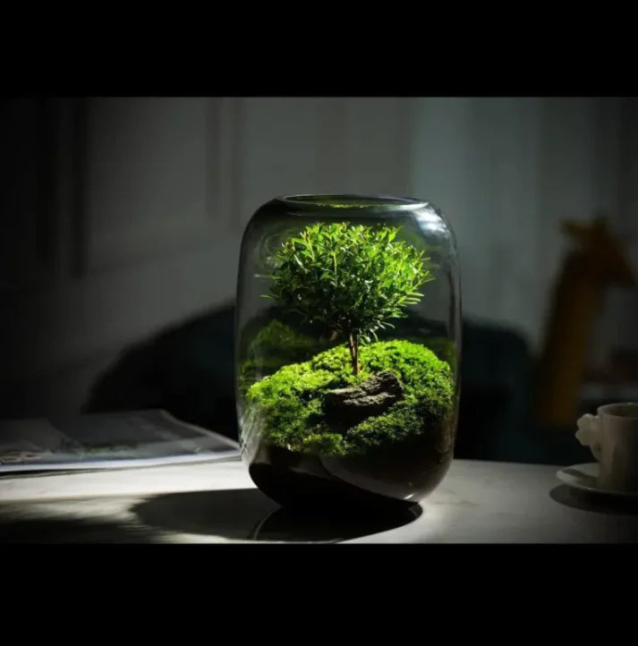 Green Scape Miniature Décor WEM Support (www.WEM.support)