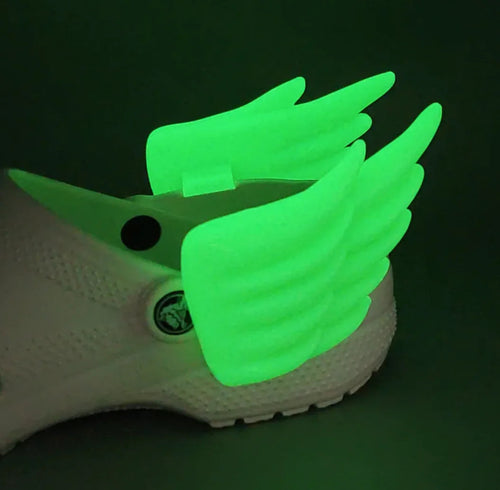 Wing Pendant Shoe Charms WEM Support (www.WEM.support)