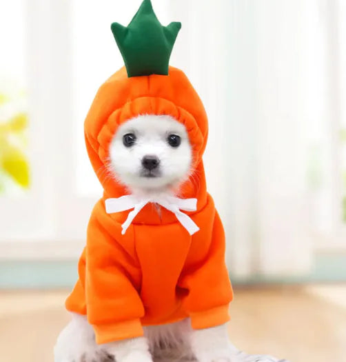 Cute Fruit Hoodie for Small Dogs WEM Support (www.WEM.support)