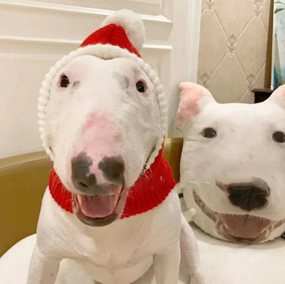 Woolen Pet Hat for Autumn & Winter - Catch Cards