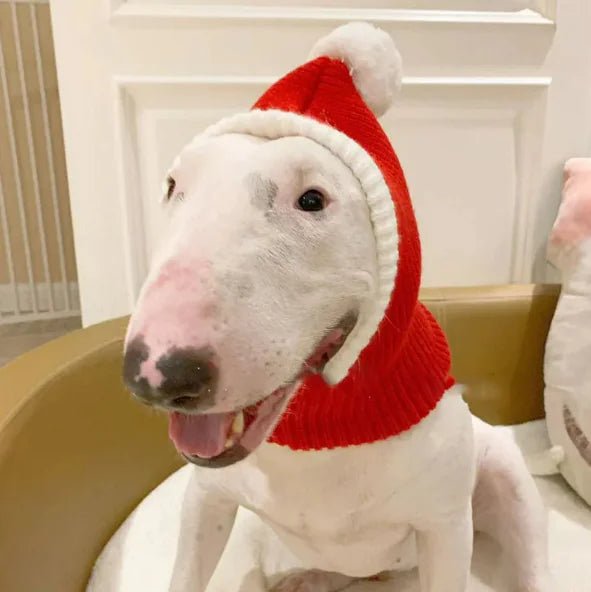 Woolen Pet Hat for Autumn & Winter - Catch Cards