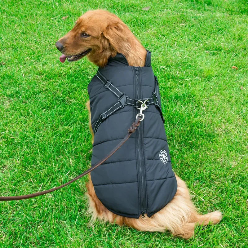 Dog Cotton Winter Vest WEM Support (www.WEM.support)