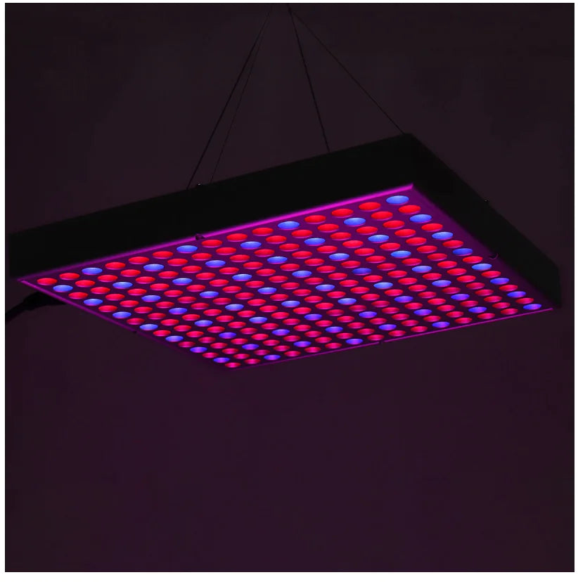 LED Grow Lamp
